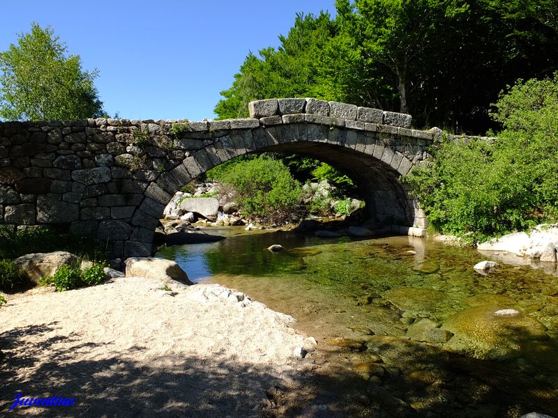 Pont de Camargues sur le Tarn
