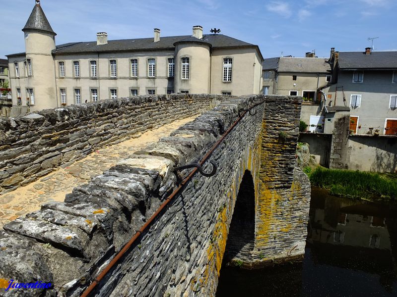 Pont Vieux de Brassac-sur-Agout