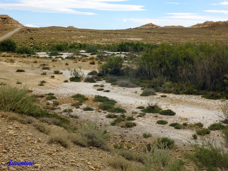 Bardenas Reales