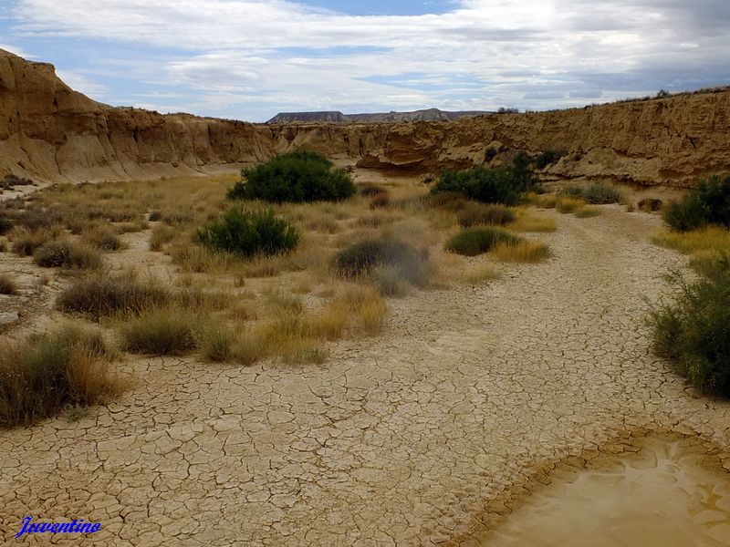 Bardenas Reales