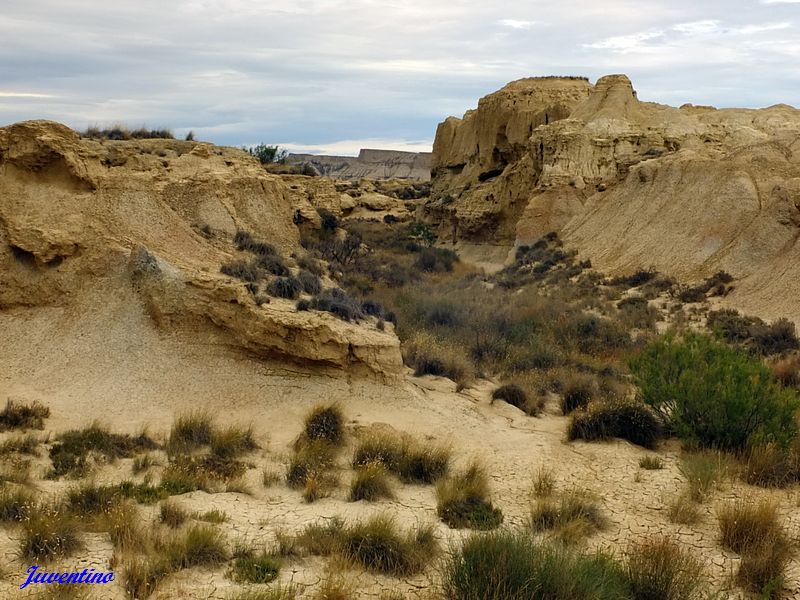 Bardenas Reales