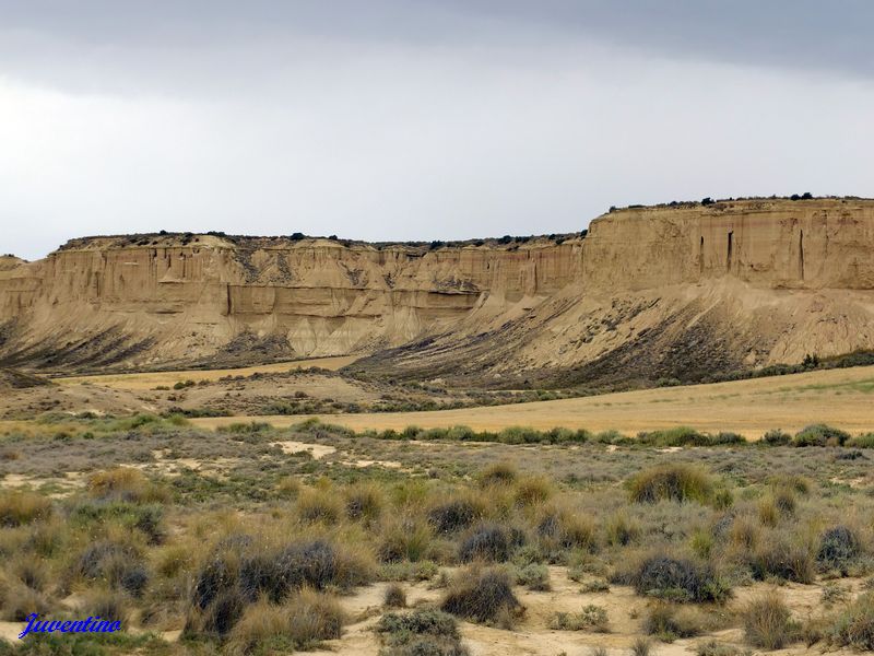 Bardenas Reales