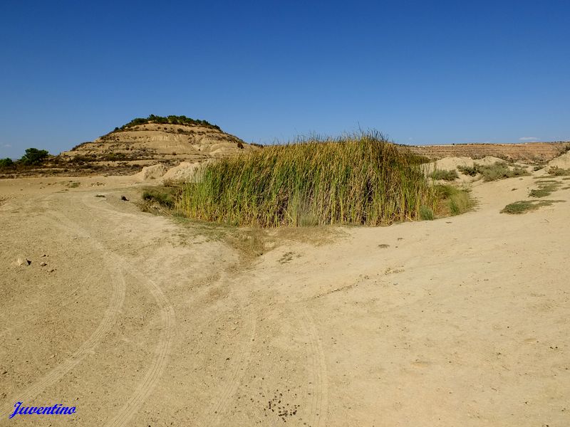 Bardenas Reales