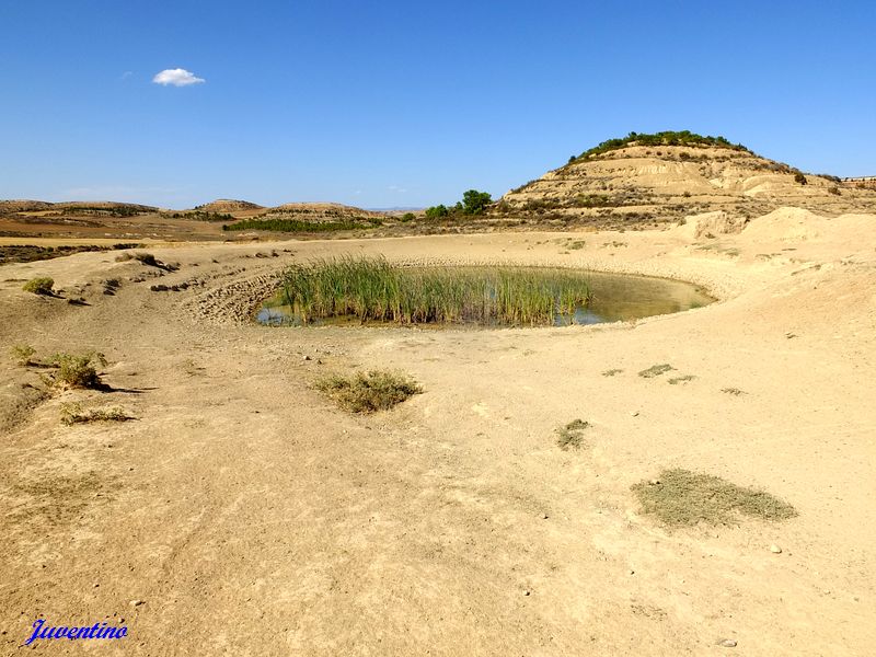 Bardenas Reales