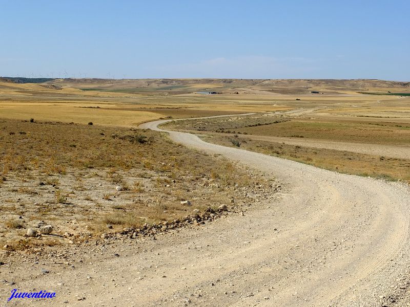 Bardenas Reales