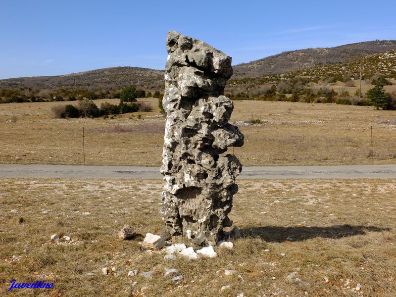 Menhir des Combes (Causse de Blandas)
