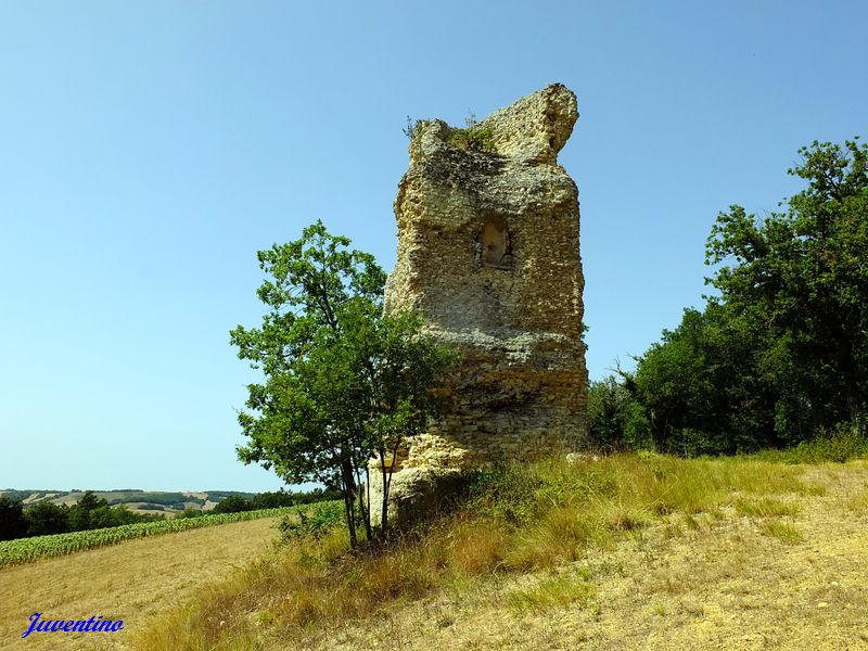 Pile de Peyrelongue à Larroque