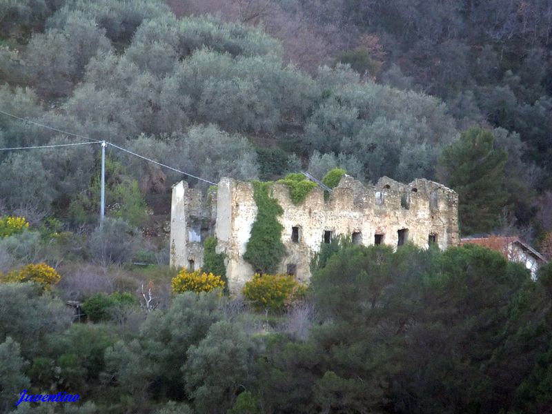 Dolceacqua (Imperia, Liguria)