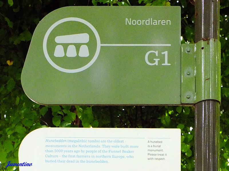 Hunebed Noordlaren
