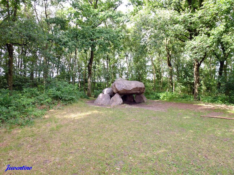 Hunebed Noordlaren