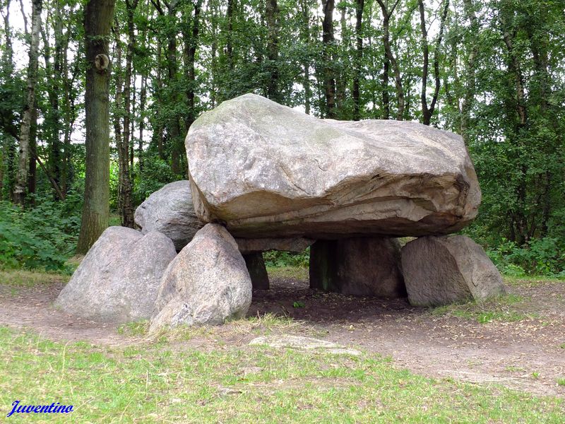 Hunebed Noordlaren