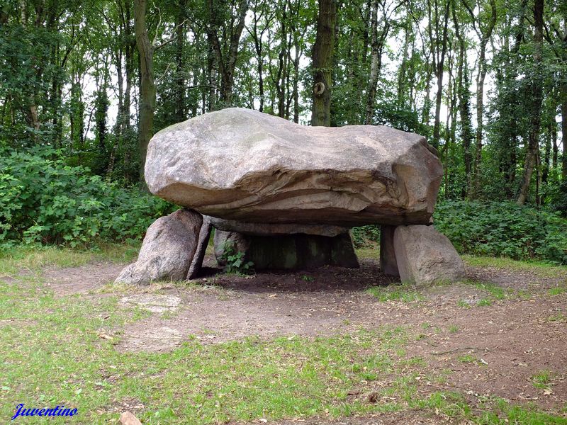 Hunebed Noordlaren