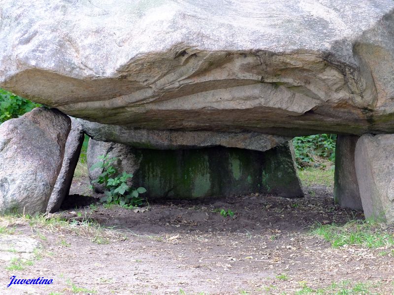 Hunebed Noordlaren