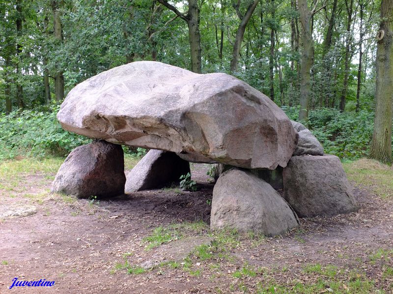 Hunebed Noordlaren