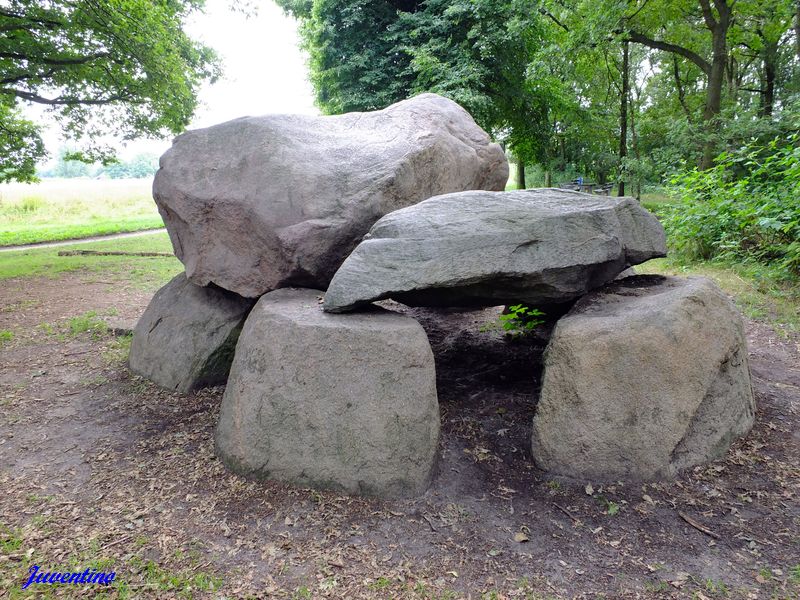 Hunebed Noordlaren