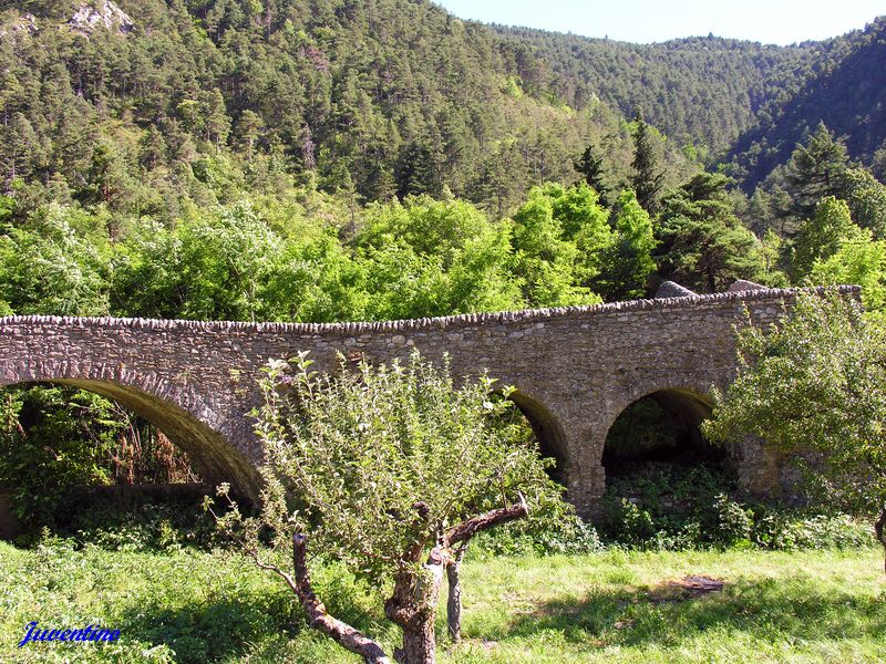 Pont du Coq à la Brigue