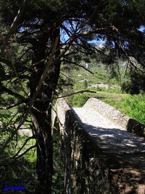 Pont du Coq à la Brigue