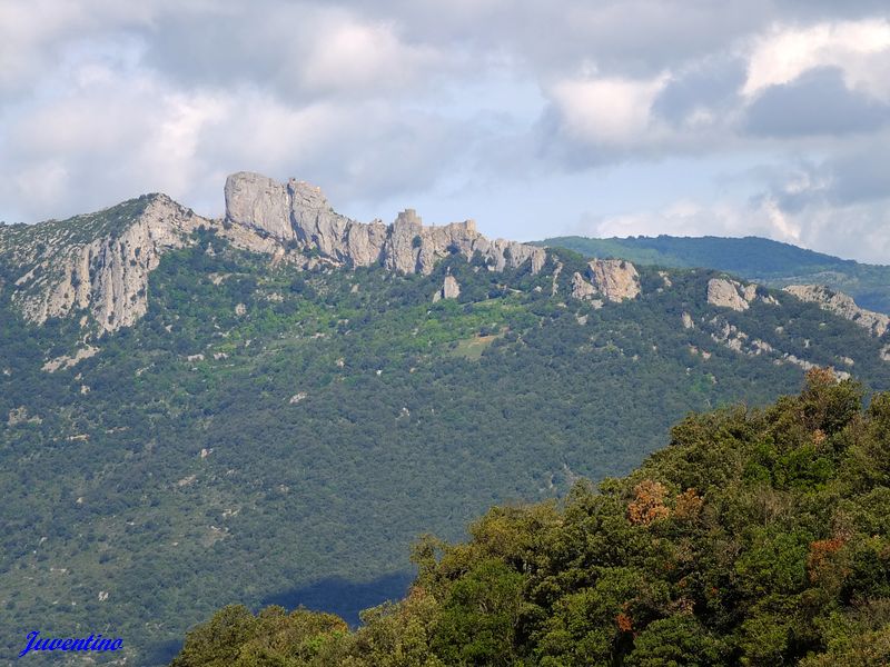 Château de Peyrepertuse vu du château de Quéribus