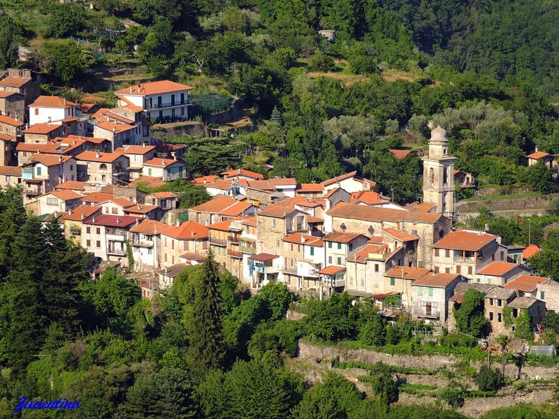 Triora