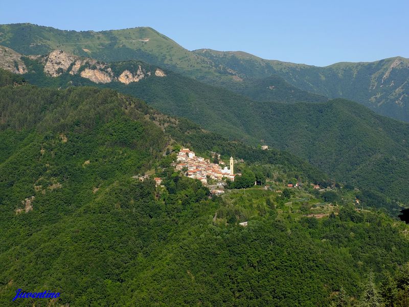 Triora