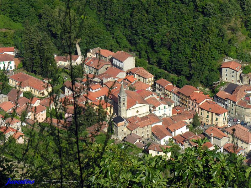 Triora