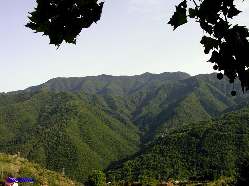 Triora