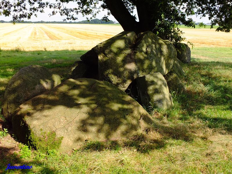 Hunebed Westenesch-N.