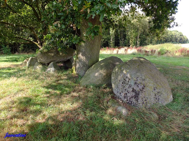 Hunebed Westenesch-N.