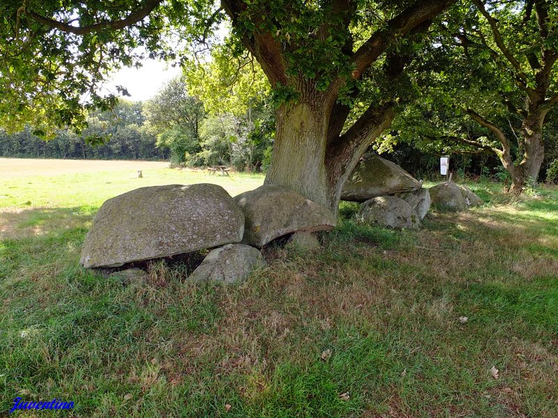 Hunebed Westenesch-N.