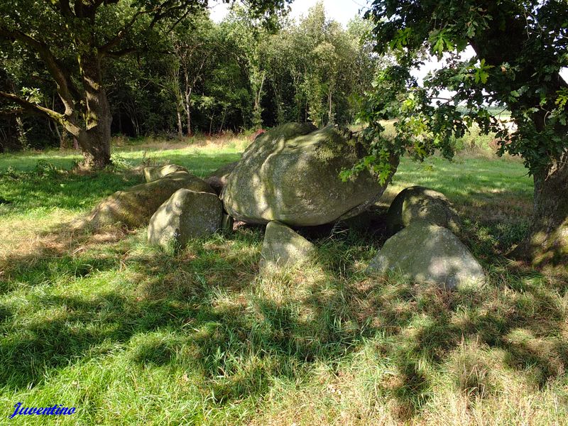 Hunebed Westenesch-N.